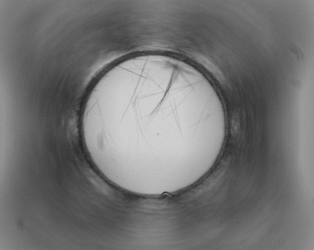 X0000113351356200910131231