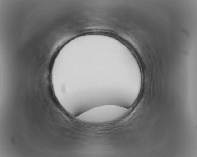 X0000113351357200910131231