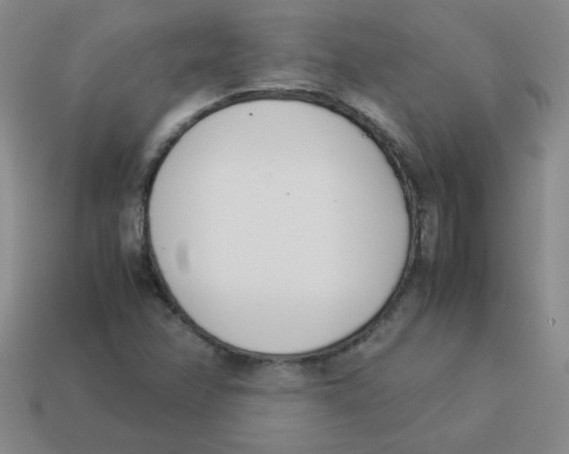 X0000113351358200910131231