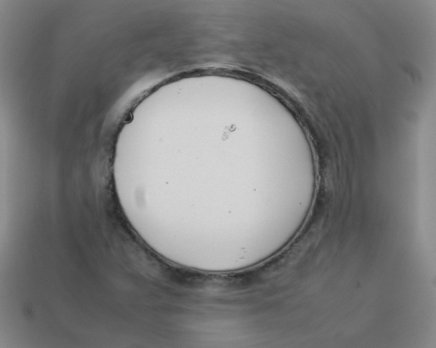 X0000113351359200910131231