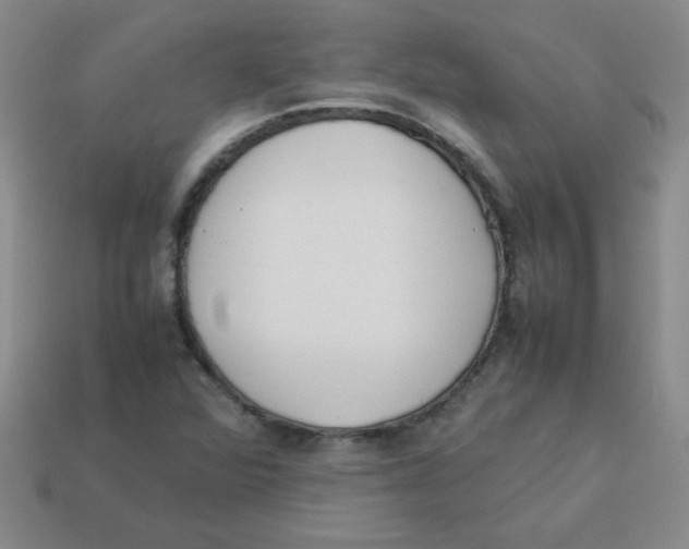 X0000113351360200910131231