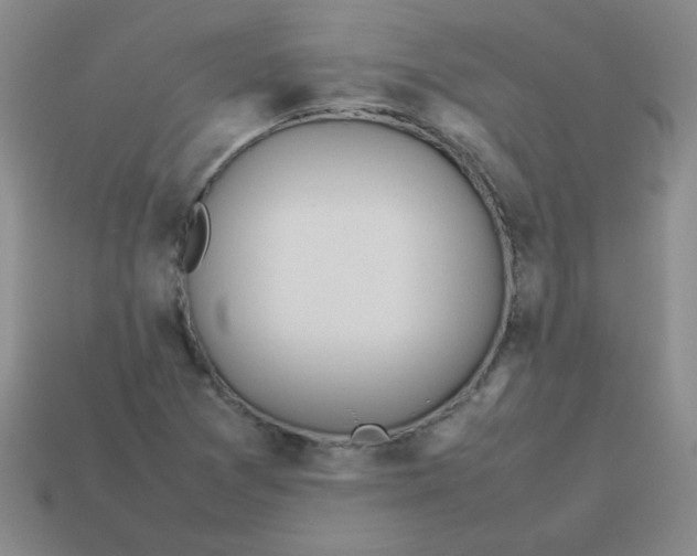 X0000113351361200910131231