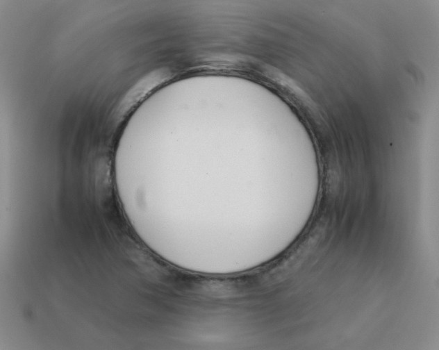 X0000113351362200910131231