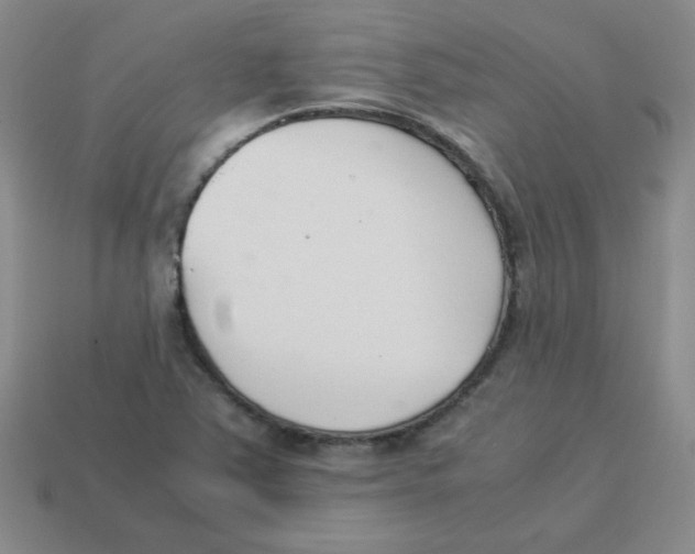 X0000113351363200910131231