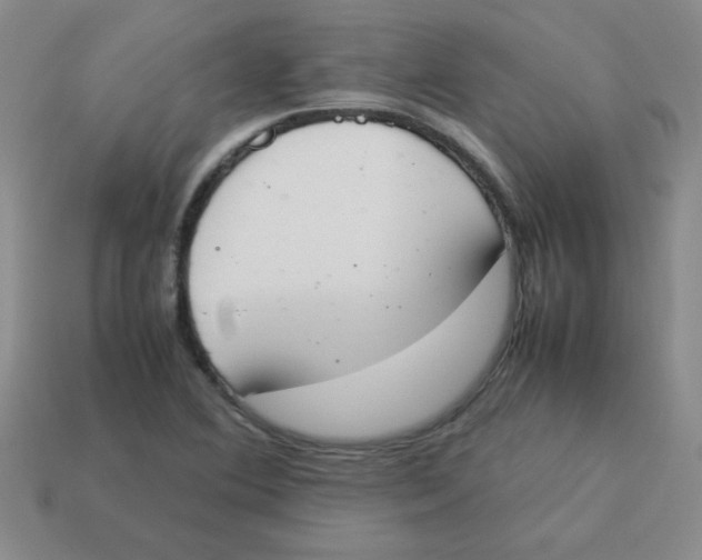 X0000113351364200910131231