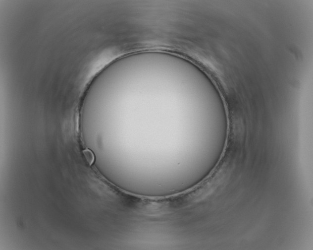 X0000113351365200910131231