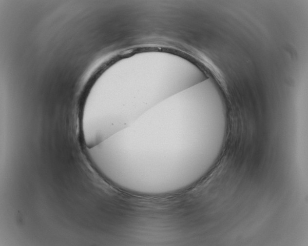 X0000113351368200910131231