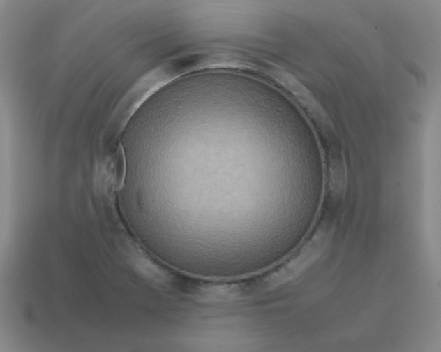 X0000113351369200910131231