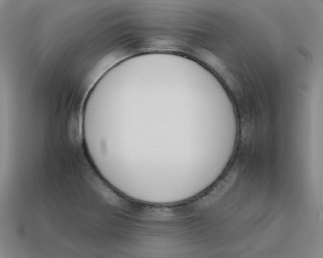 X0000113351370200910131231