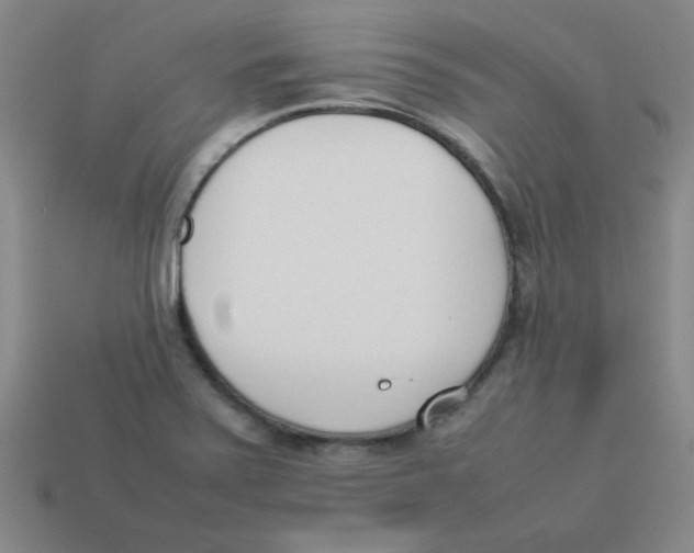 X0000113351371200910131231