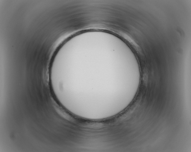 X0000113351372200910131231