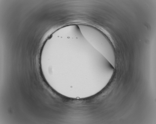 X0000113351373200910131231