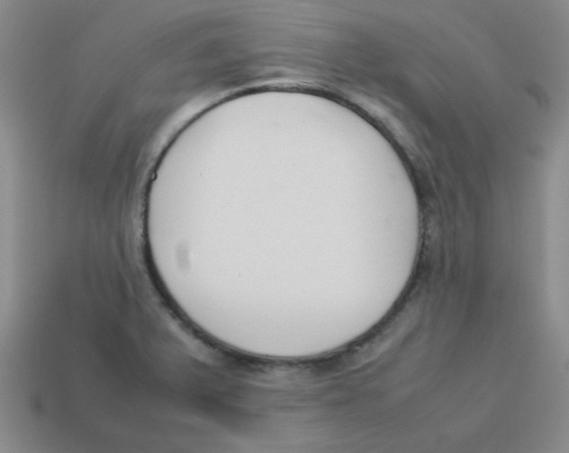 X0000113351375200910131231