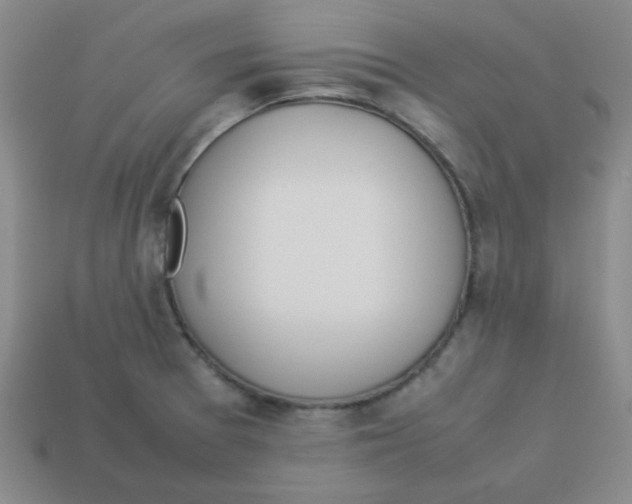 X0000113351377200910131231