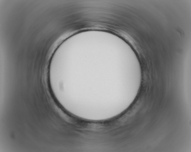 X0000113351379200910131230