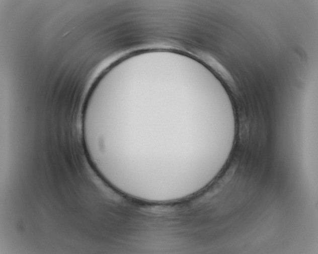 X0000113351380200910131230