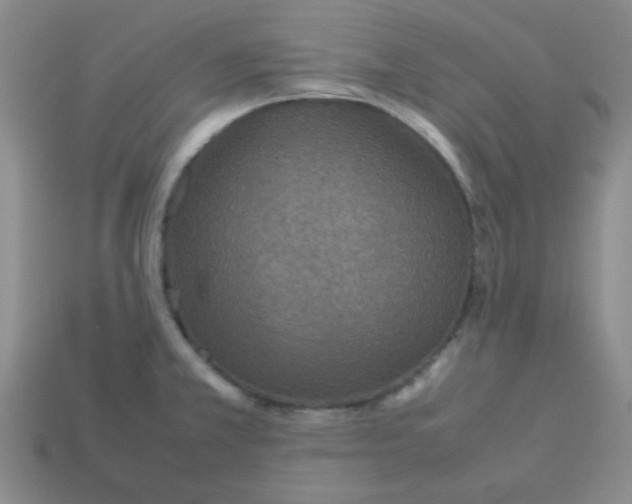 X0000113351381200910131230