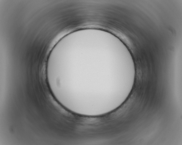 X0000113351382200910131230