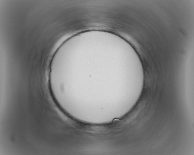 X0000113351383200910131230