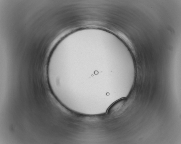 X0000113351384200910131230