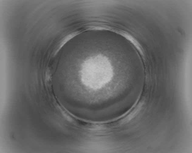 X0000113351385200910131230