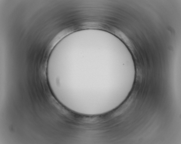 X0000113351386200910131230