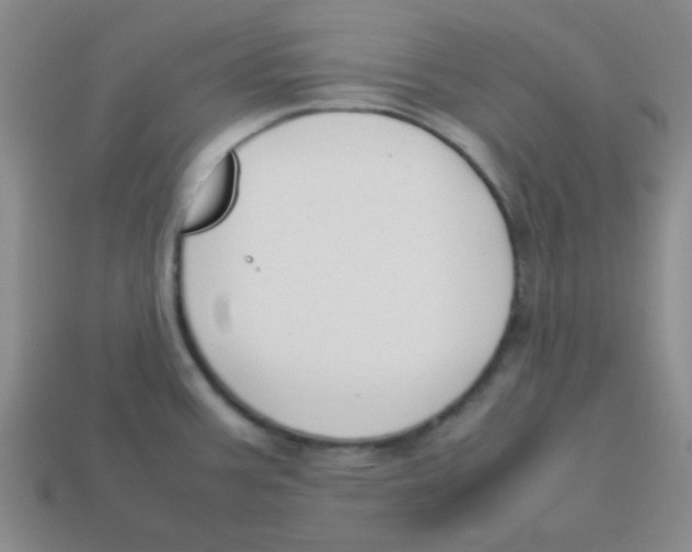 X0000113351387200910131230