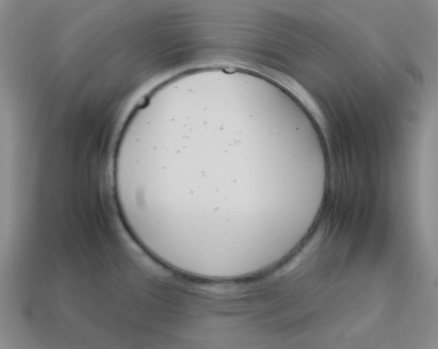 X0000113351388200910131230