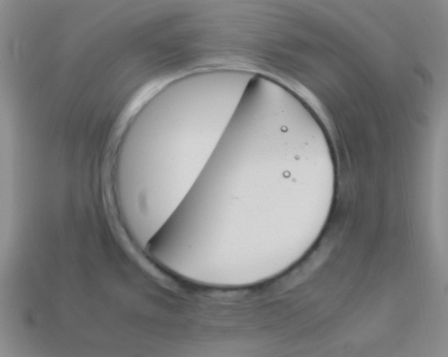 X0000113351389200910131230