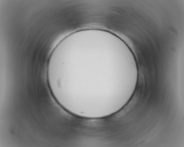 X0000113351390200910131230