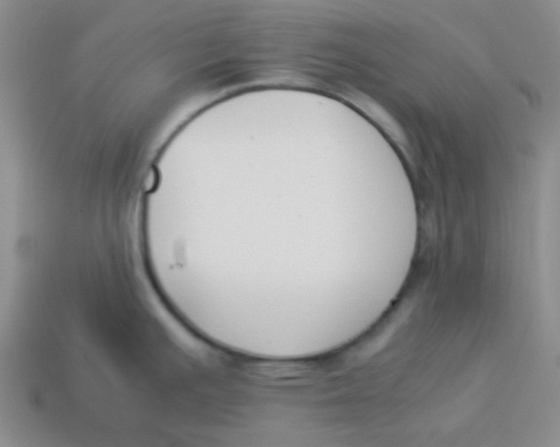 X0000113351391200910131230