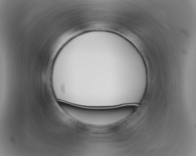 X0000113351392200910131230