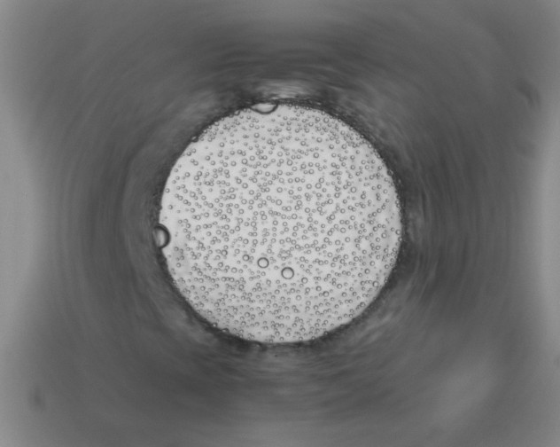 X0000113351393200910131230