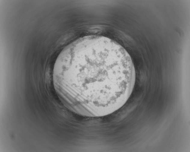 X0000113351394200910131230