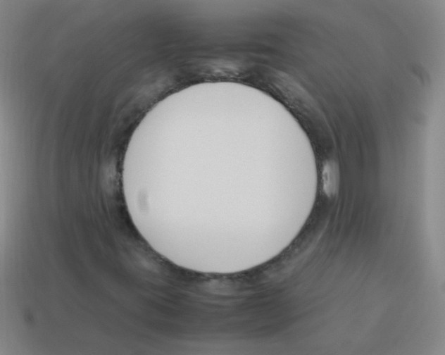 X0000113351395200910131230