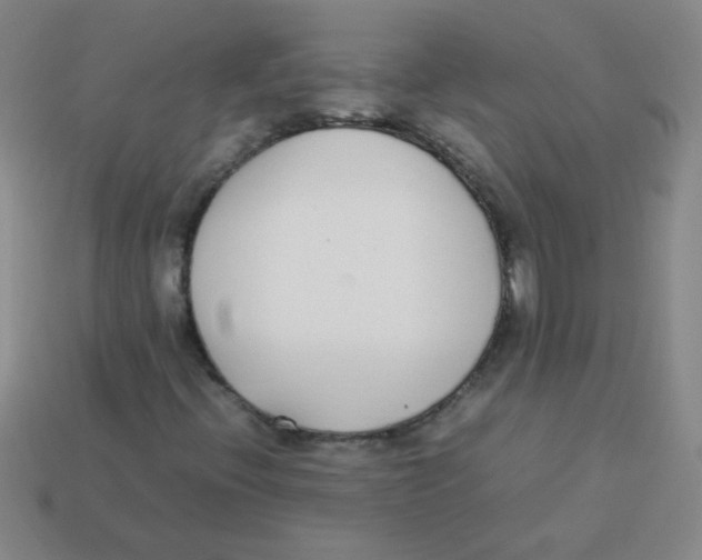 X0000113351396200910131230