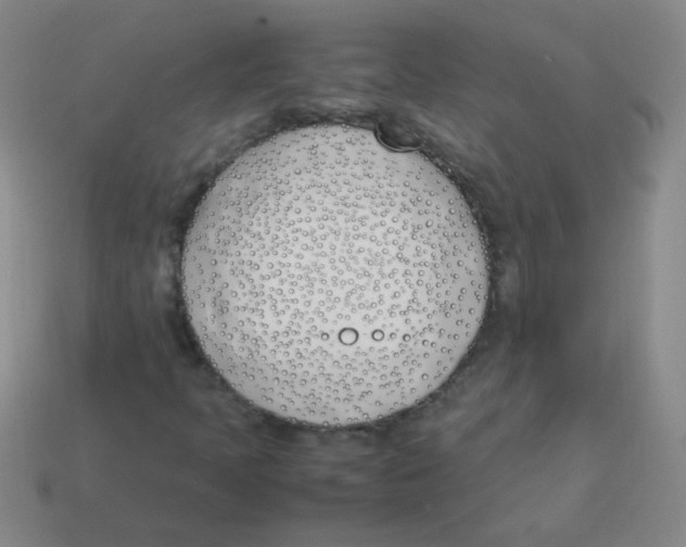 X0000113351397200910131230