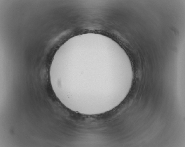 X0000113351398200910131230