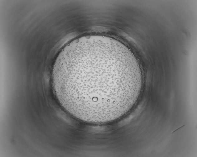 X0000113351401200910131230