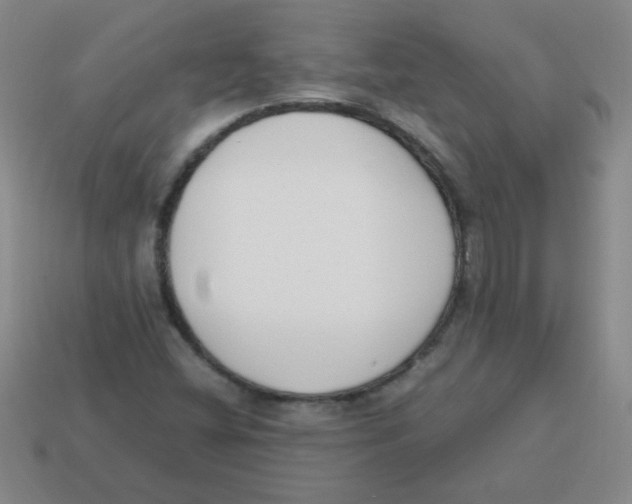 X0000113351404200910131230