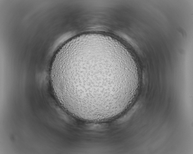 X0000113351405200910131230