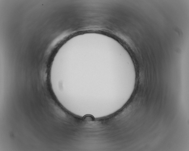 X0000113351406200910131230