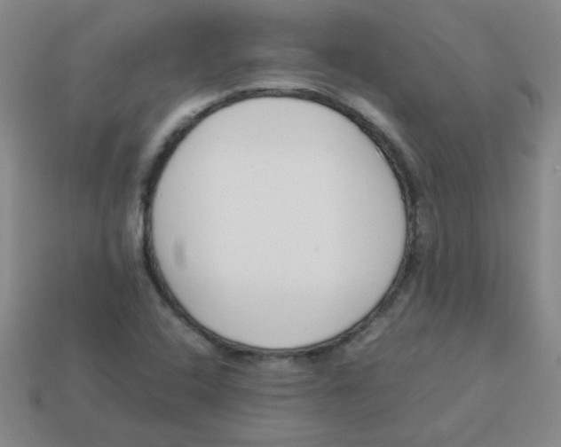 X0000113351408200910131230