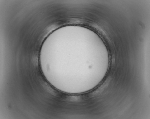 X0000113351409200910131230