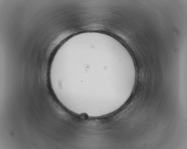 X0000113351410200910131230