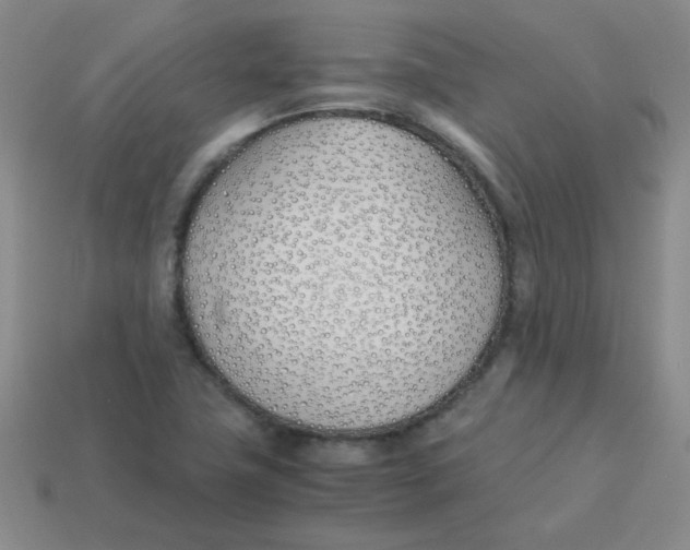 X0000113351411200910131230