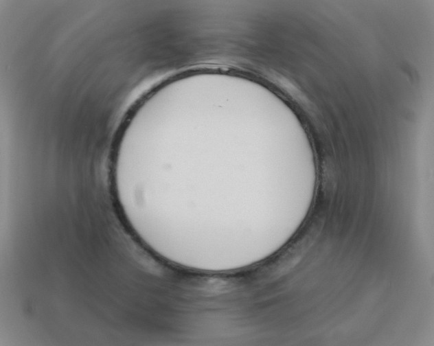 X0000113351412200910131230