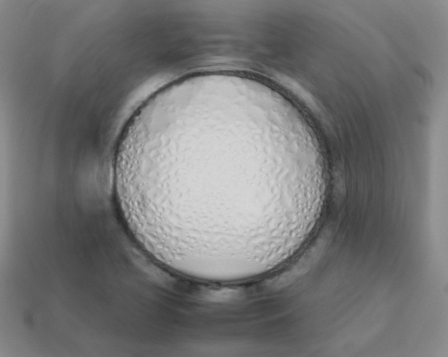 X0000113351413200910131230