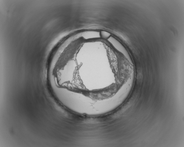 X0000113351414200910131230