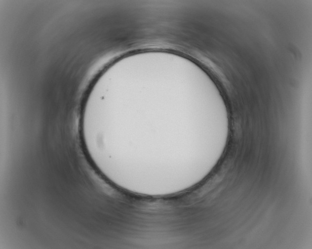 X0000113351416200910131230